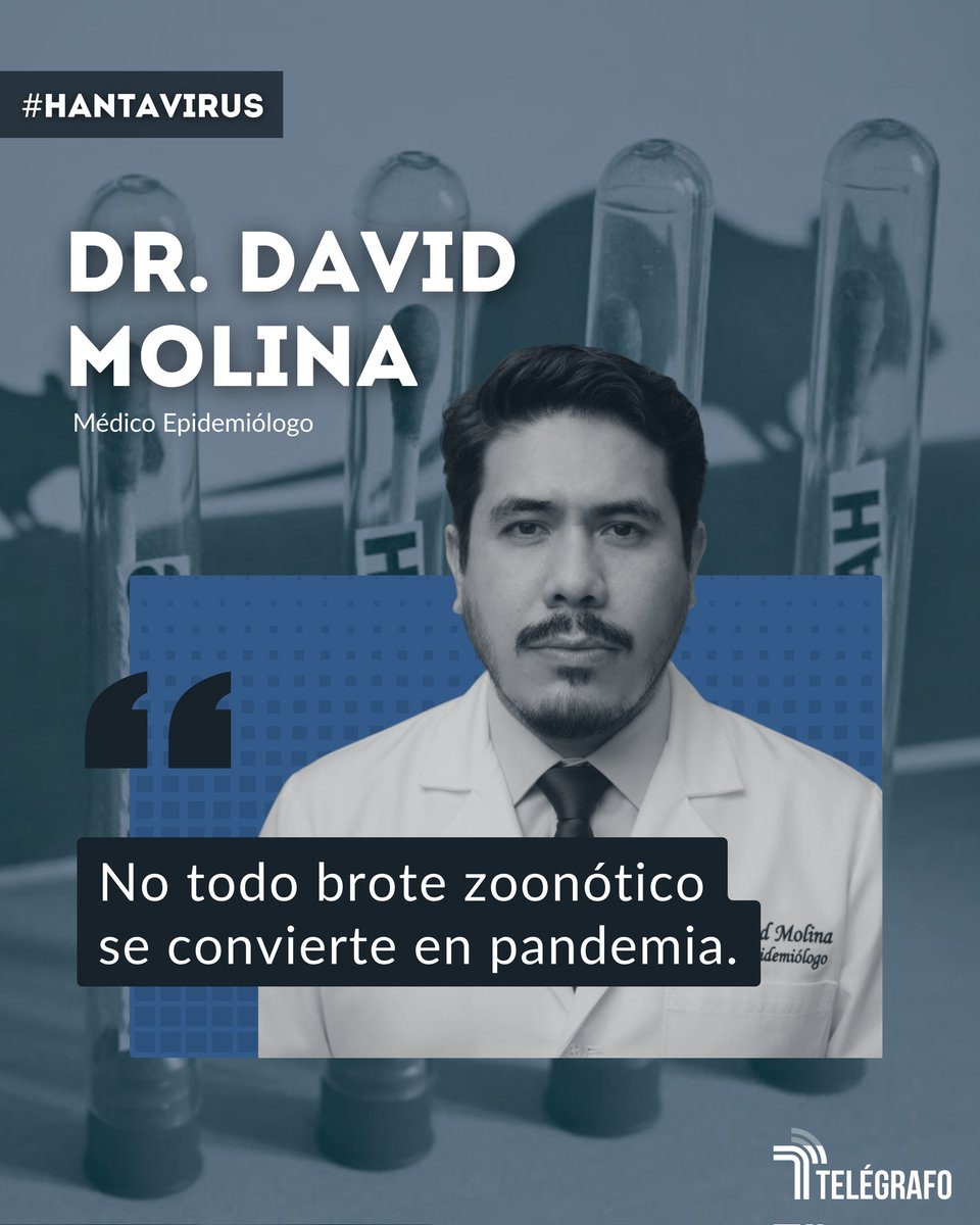 telegrafogt's tweet photo. El brote de #hantavirus en un crucero encendió alarmas. Pero la evidencia indica que la transmisión entre personas es limitada y requiere de condiciones específicas. 🦠🚢

@molinaret explica qué ocurrió y por qué el riesgo de pandemia sigue siendo bajo 📉
https://t.co/pBhDVgRKau https://t.co/n61DBSanLa