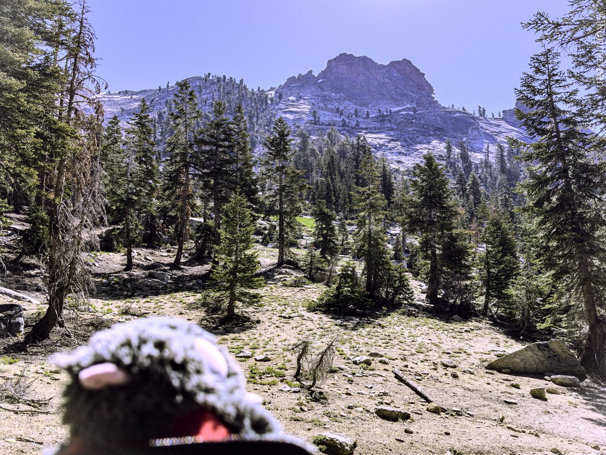 RonnieTheYeen's tweet photo. Decided to go on a hike the other day! My legs are jello but that’s ok https://t.co/mGZYCczXAH