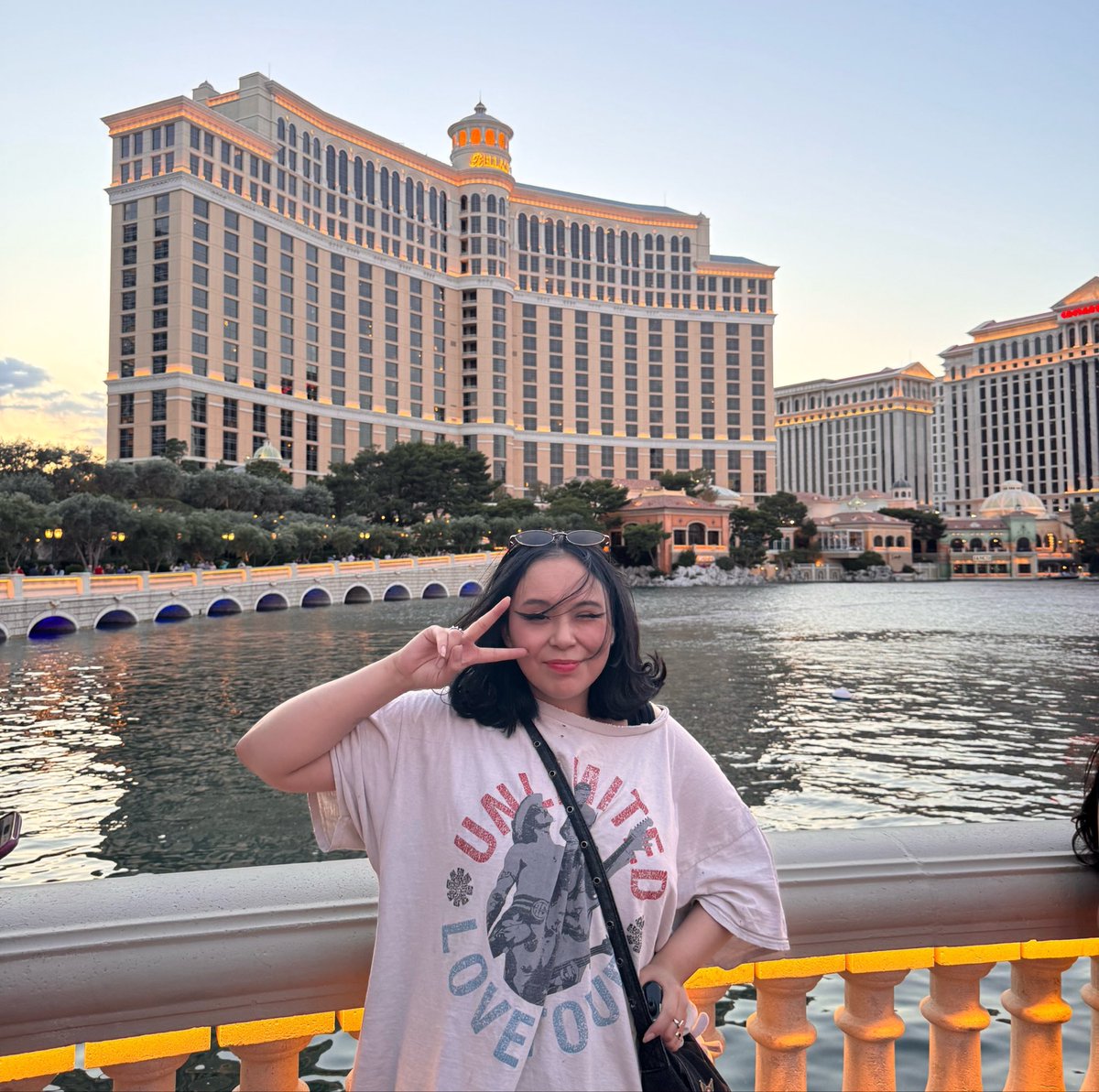 nihilizd's tweet photo. yes i visit the bellagio everytime and play the oceans eleven soundtrack in my airpods because i have the entire movie and dialogue memorised because i will never love another movie like i do with this https://t.co/ejzXgFE00Y