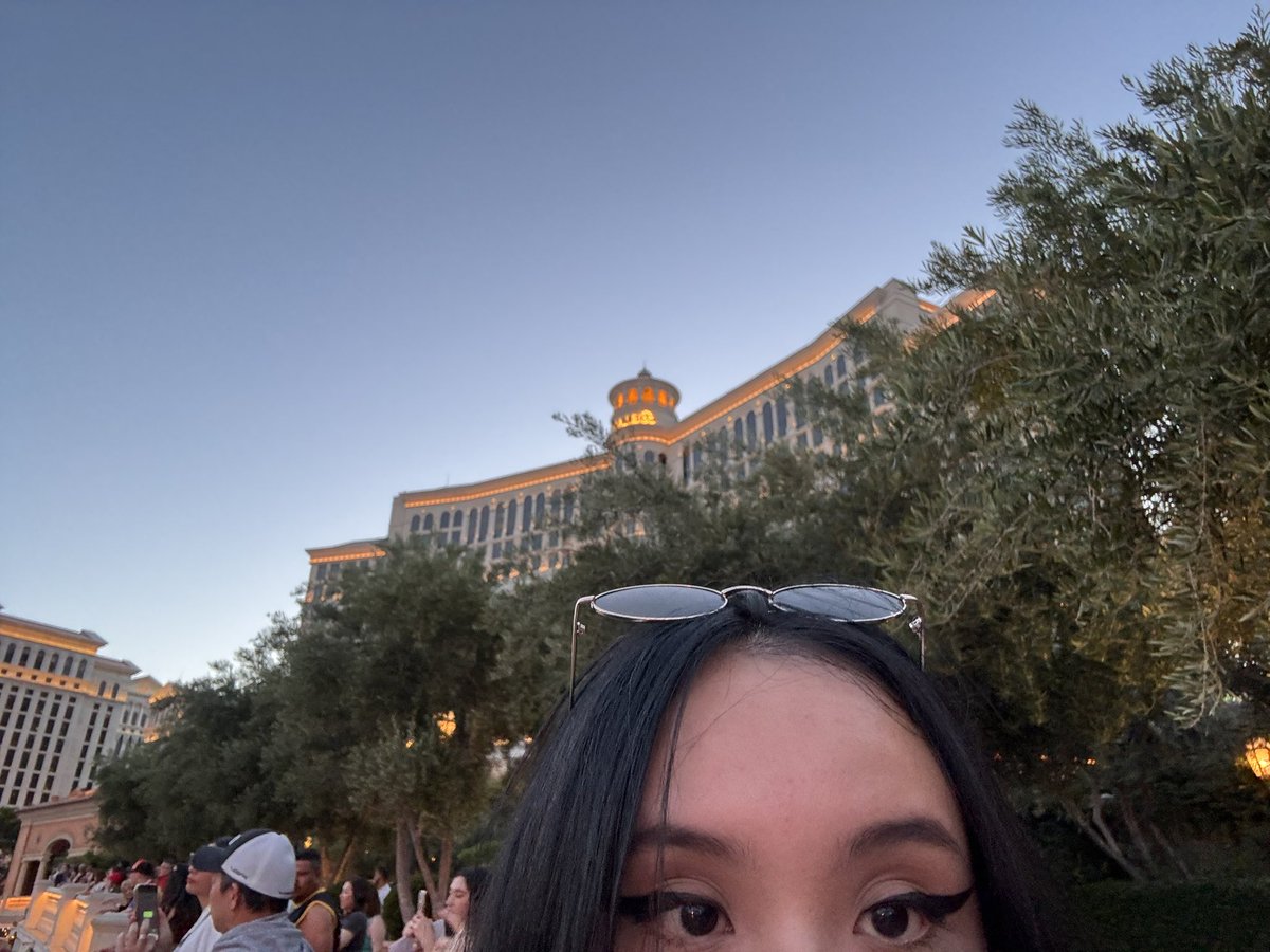 nihilizd's tweet photo. yes i visit the bellagio everytime and play the oceans eleven soundtrack in my airpods because i have the entire movie and dialogue memorised because i will never love another movie like i do with this https://t.co/ejzXgFE00Y