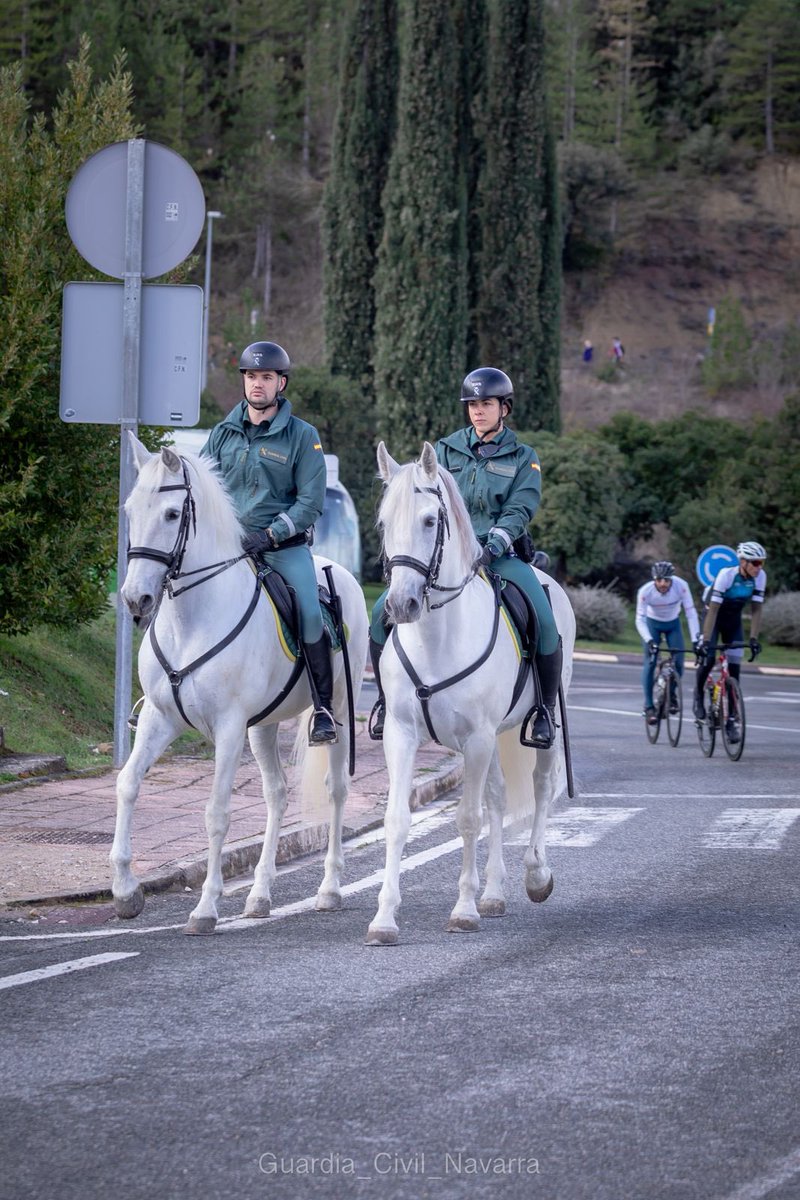 Guardia Civil Navarra 🇪🇸𝕏 tweet media