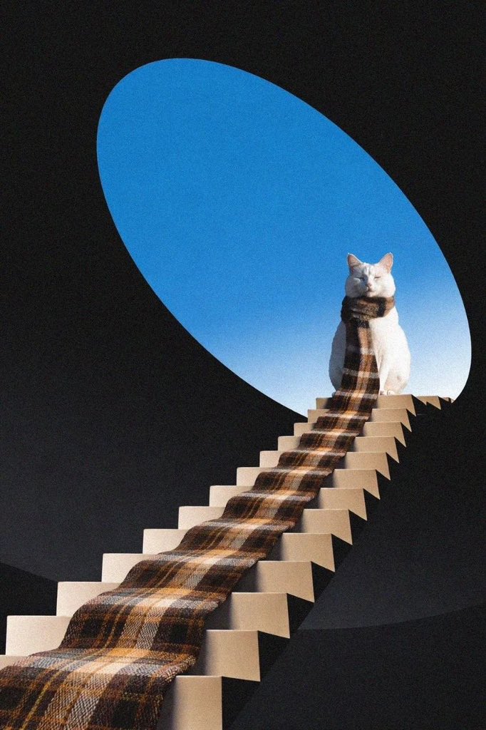 thesniiperr's tweet photo. This is an investment in your peace of mind.
Every second you’re away from the keyboard, the project gets stronger.
The scarf cat already mastered the game.
Time to follow $afk

#crypto   #MemecoinSzn https://t.co/Elbu0rJi7j