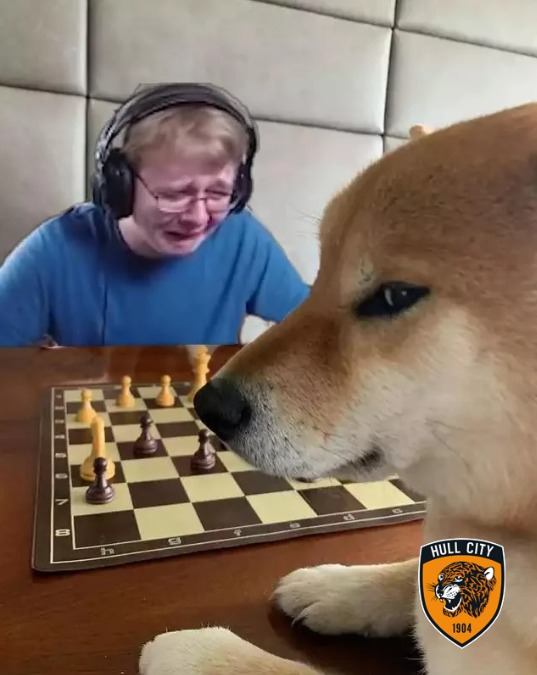 Chess.com tweet media