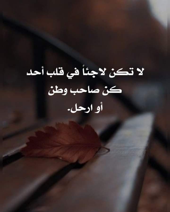 aref binnasher tweet media