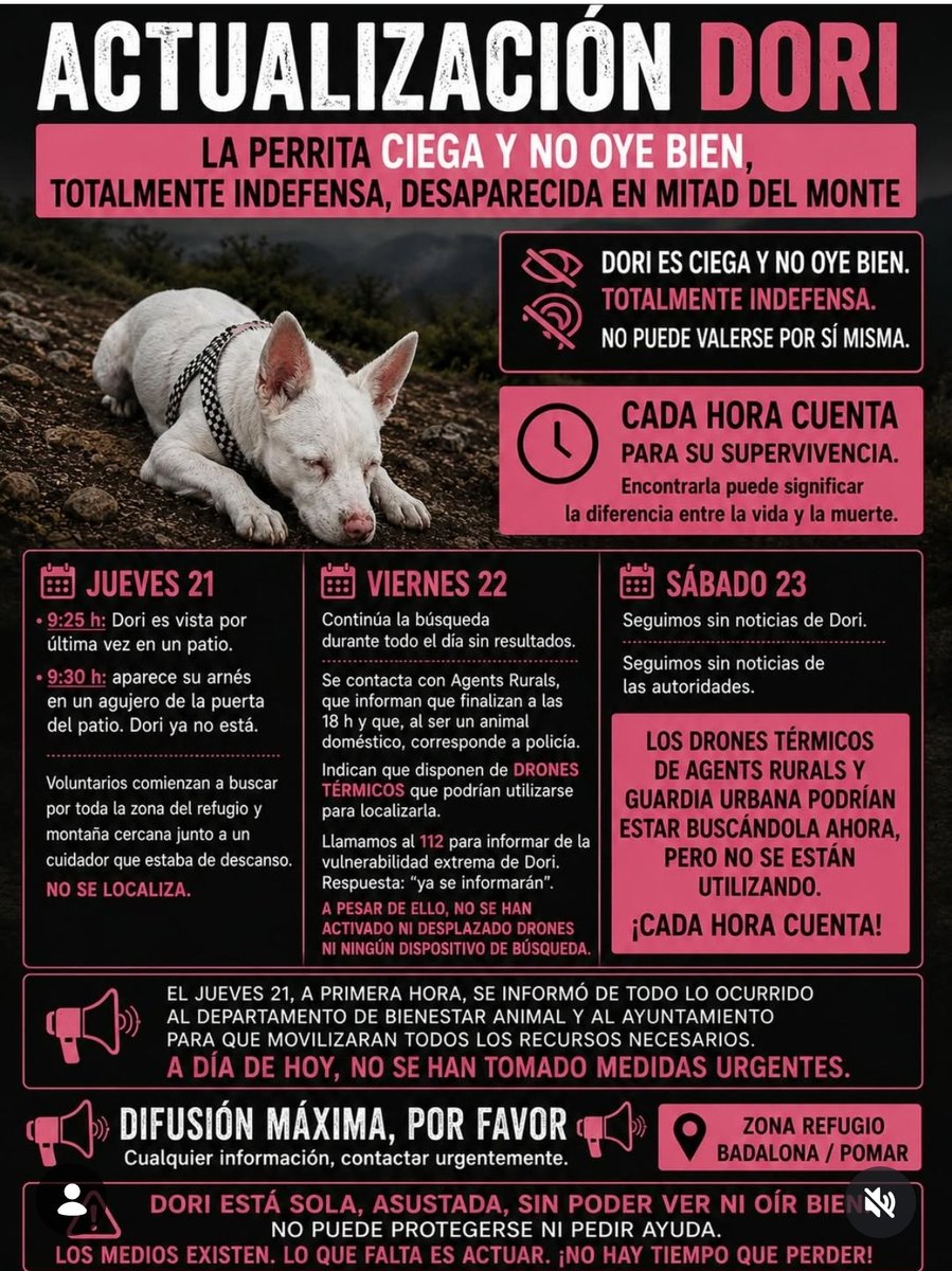 Àrees de Gossos Badalona tweet media