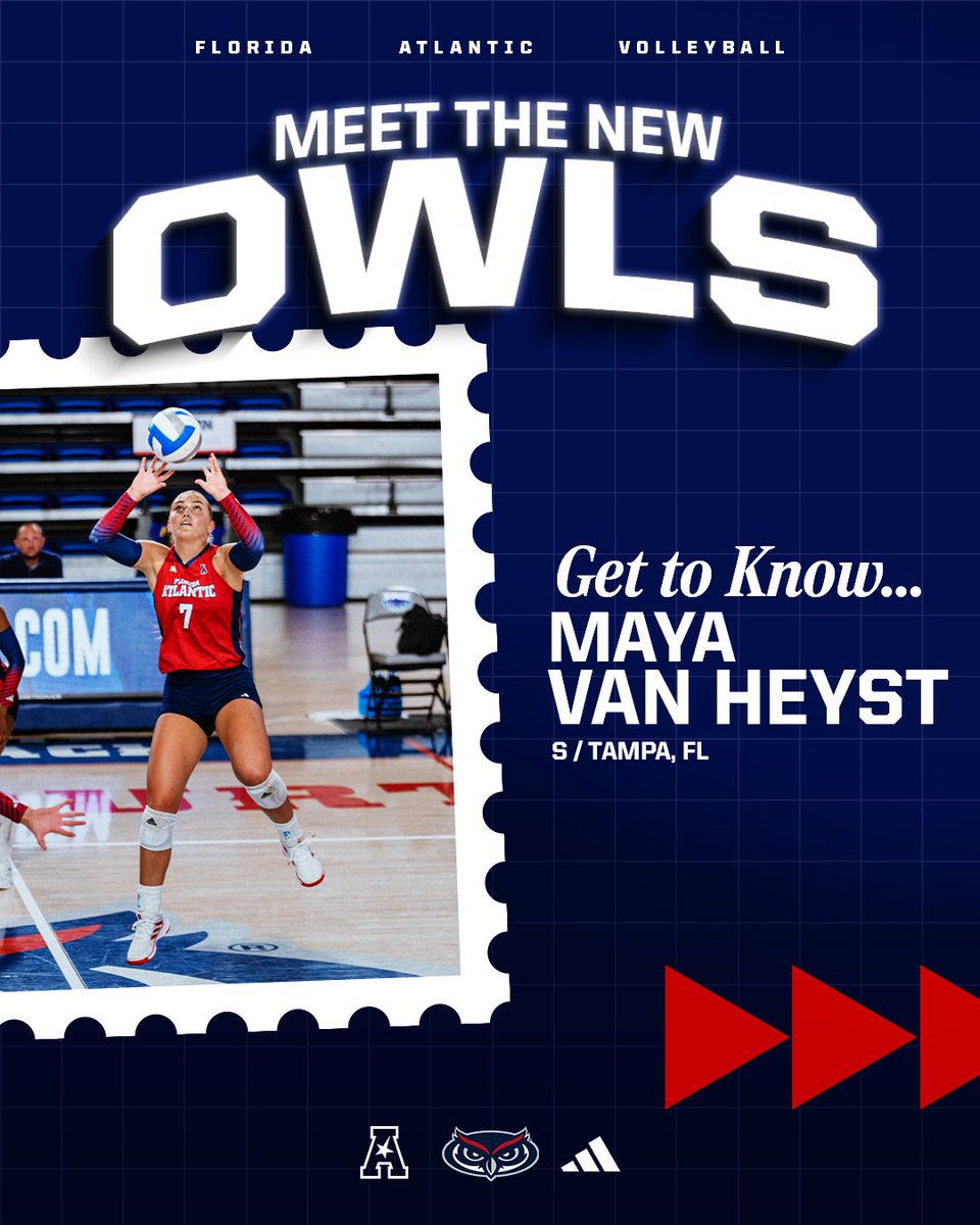 FAUVolleyball's tweet photo. 𝐌𝐞𝐞𝐭 𝐭𝐡𝐞 𝐍𝐞𝐰 𝐎𝐰𝐥𝐬: 𝐌𝐚𝐲𝐚 𝐕𝐚𝐧 𝐇𝐞𝐲𝐬𝐭

🏐 » S
📚 » Senior
📍 » Tampa, FL

#WIP🏝️ https://t.co/HxHPmUREL6