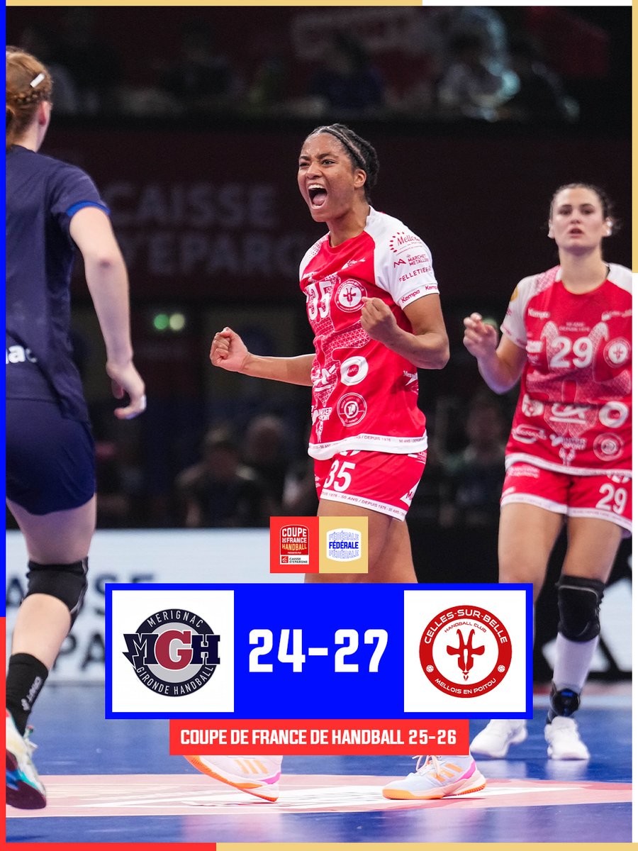 FFHandball tweet media