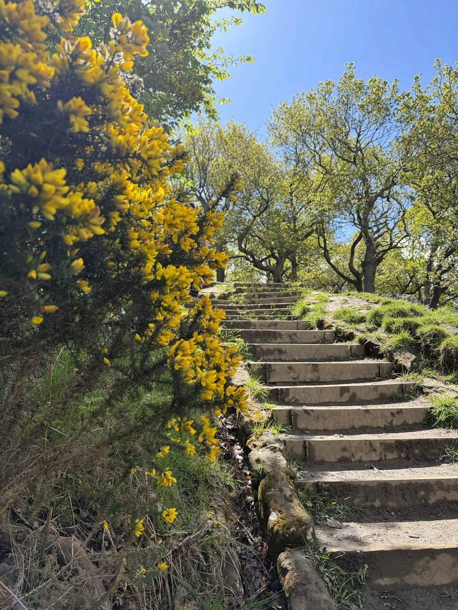 BritainBloom's tweet photo. From the top, in England🥾🏞️ https://t.co/nVrpj3dSp8