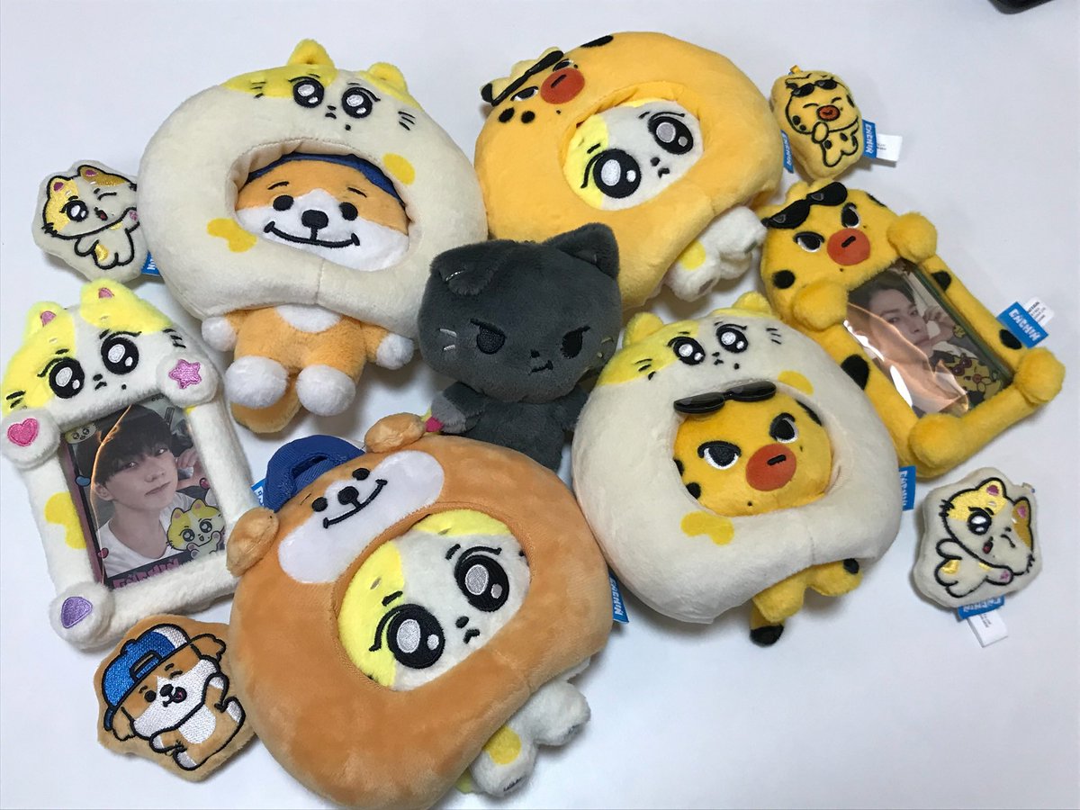 은쨩이 tweet media