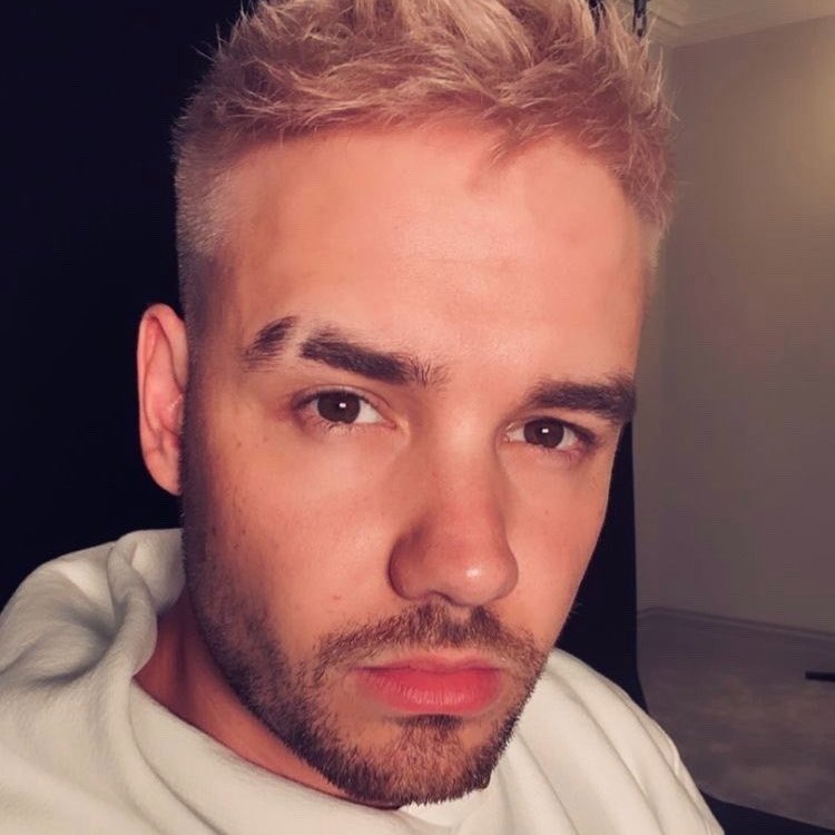 Payno tweet media