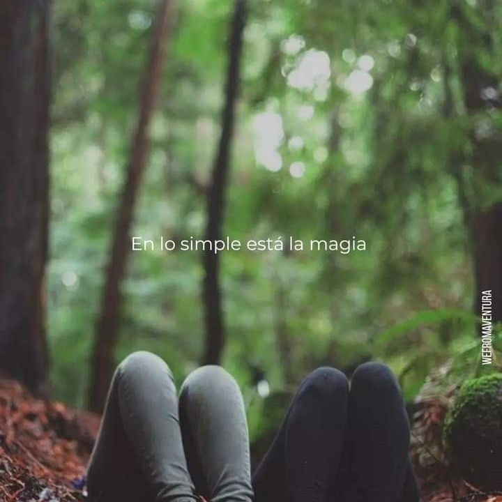 Hugo Rodrigez tweet media