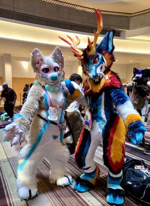 CorgiCc's tweet photo. FWA photo drop! Check out these cool critters! #ccthecorgi #FWA2026 #FWA 
@huntysdoodles @littlemiafox @queblock https://t.co/YgcMjG1mUs