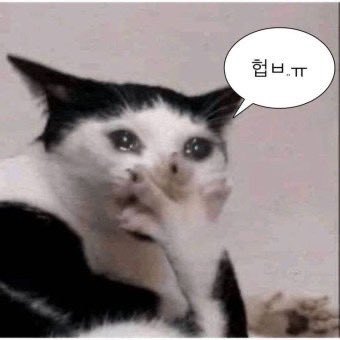왕호두 tweet media