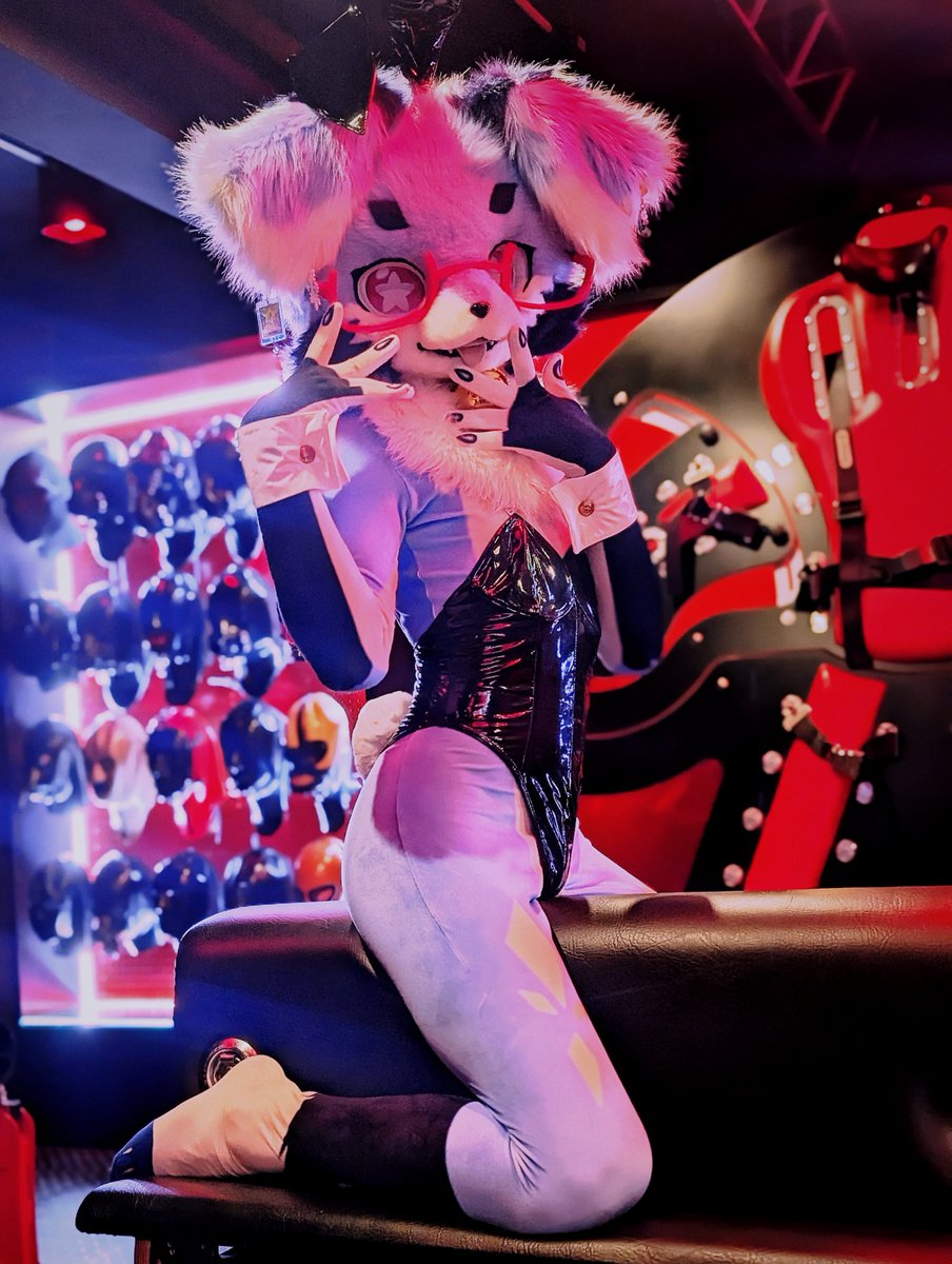Foxy DREAM tweet media