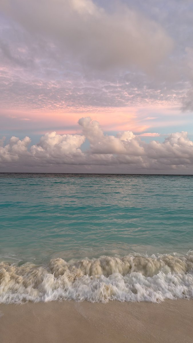 BA1alt's tweet photo. Therapy 🤍🌊 https://t.co/FHk7K5iQXs