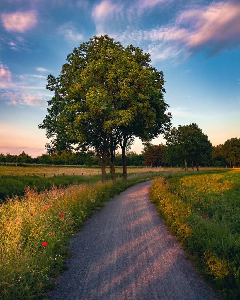 worldclick56's tweet photo. Let’s go for a walk… https://t.co/lxLX3z23hJ