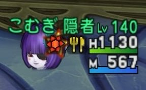 こむぎ tweet media