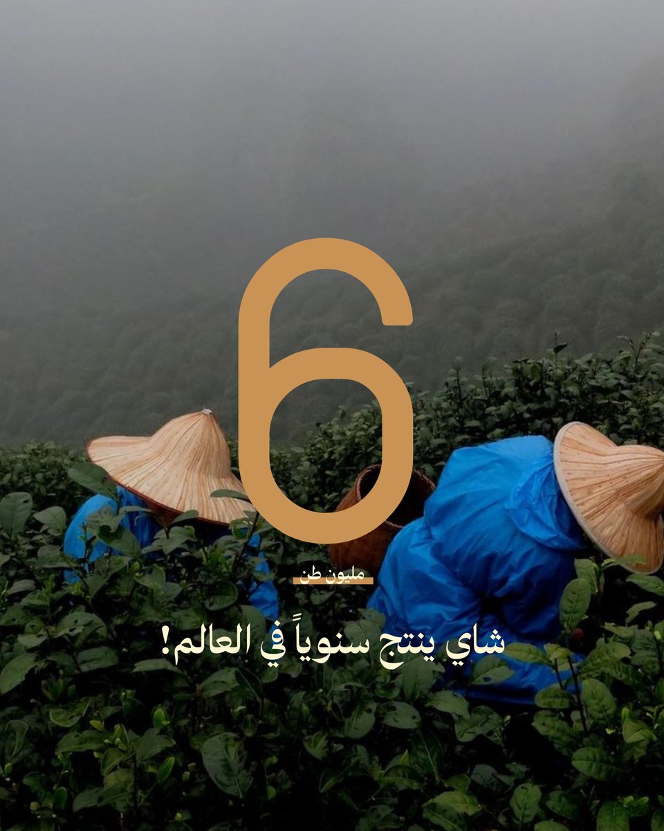 Samarteasa's tweet photo. 6 مليون طن
شاي ينتج سنوياً في العالم👏🏻

#يوم_الشاي_العالمي #شاهي #الرياض #samar https://t.co/mhqMiNi7bp