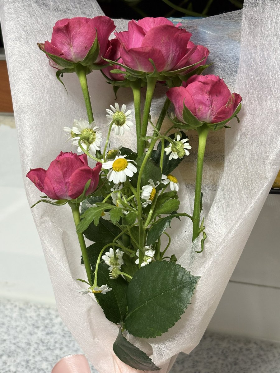 5_gu211's tweet photo. 좆같은 연하놈이 준 꽃다발인데 지가 대회에서 받은걸 준거임.
(그리고 씨발 내가 전화중이였는데 왔으면 쳐 왔다고 얘기를 해야지 반대편에 앉아서 스파링 뜨는거 보고있어서 온지도 몰랐음) https://t.co/S12uAHEAZT