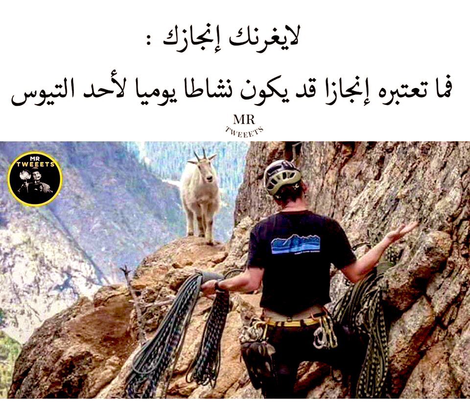 _A3maa's tweet photo. ⛰️🧗🏻‍♂️ https://t.co/PmLtKk8umB