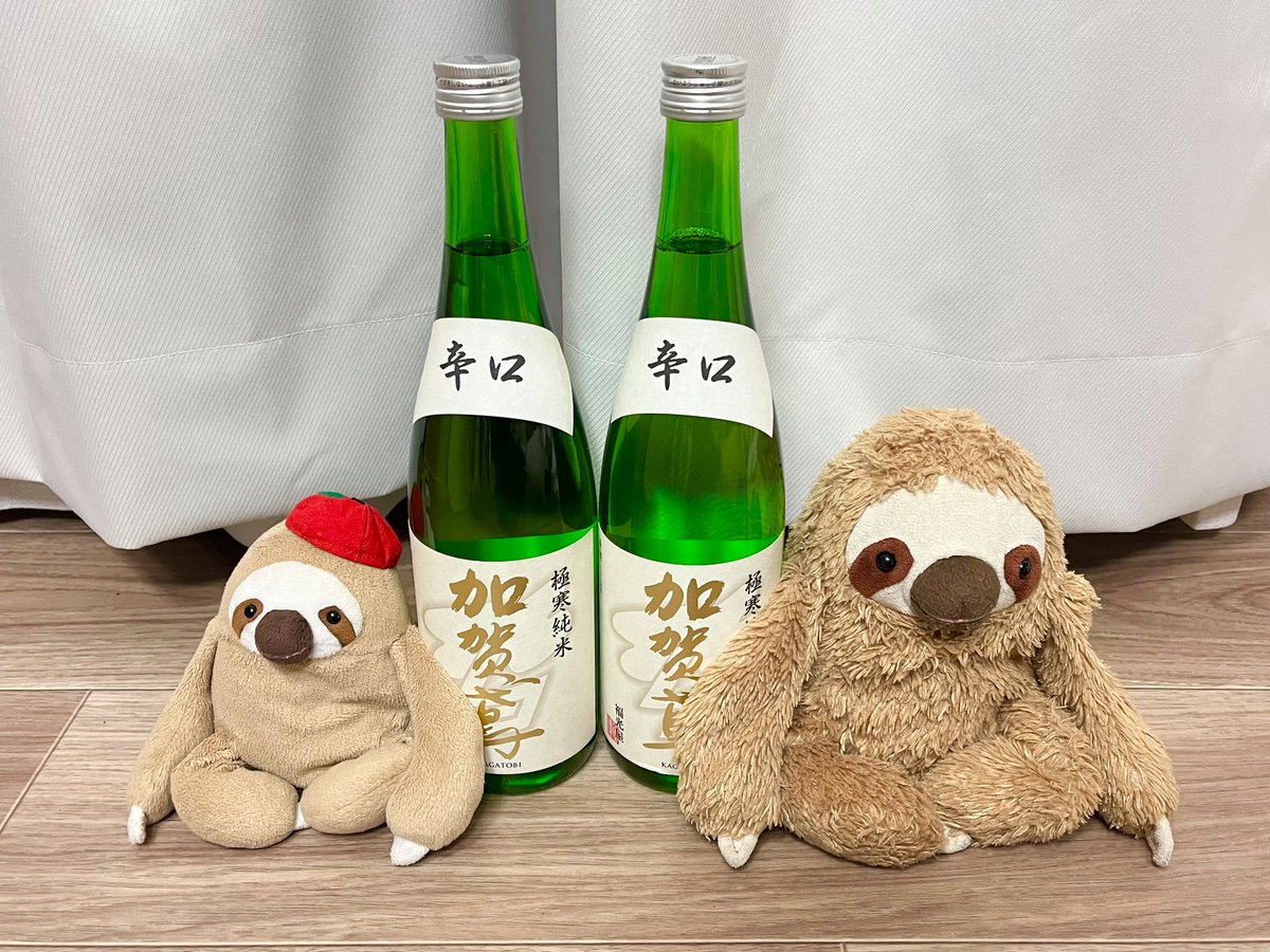 ナマケモノカンパニー tweet media