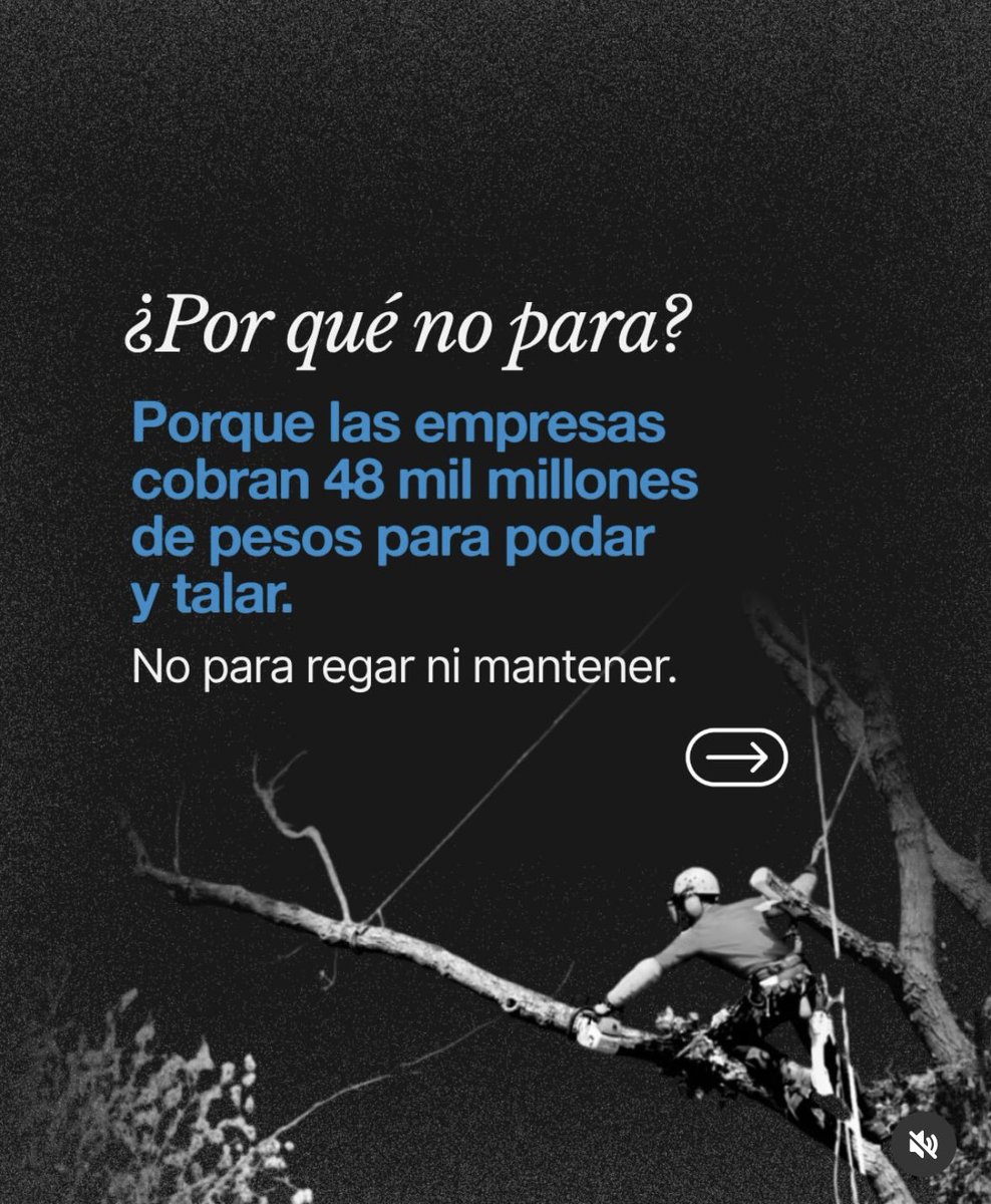 MAR tweet media