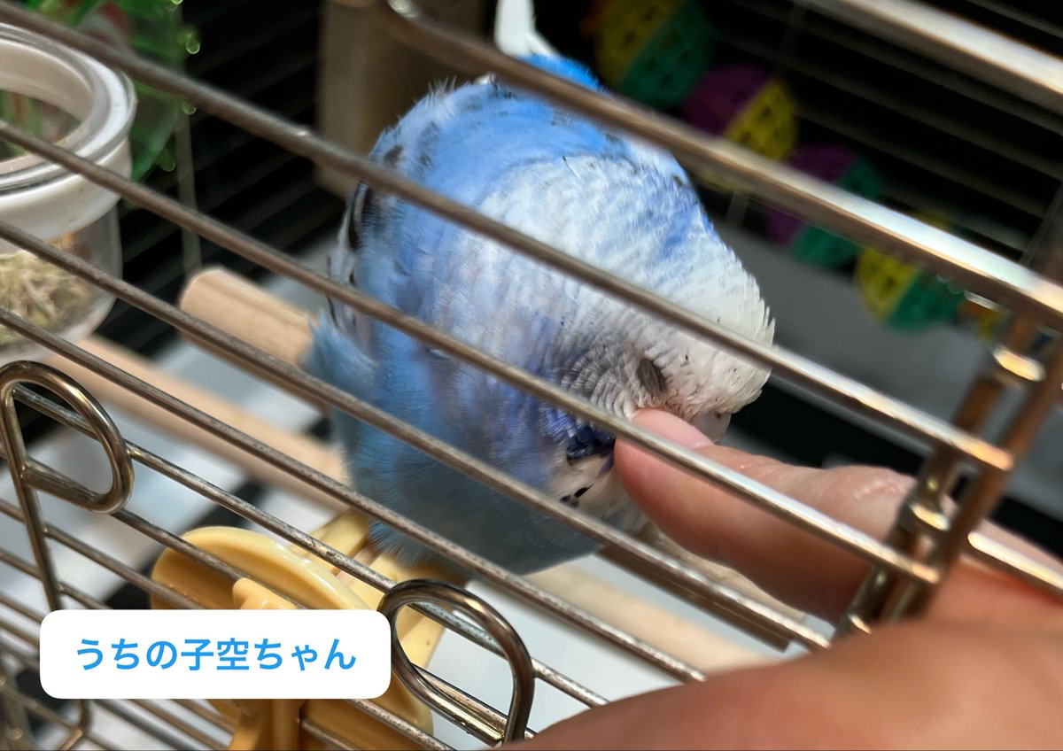 YuruM（ゆるむ) @週8休みたい人 tweet media