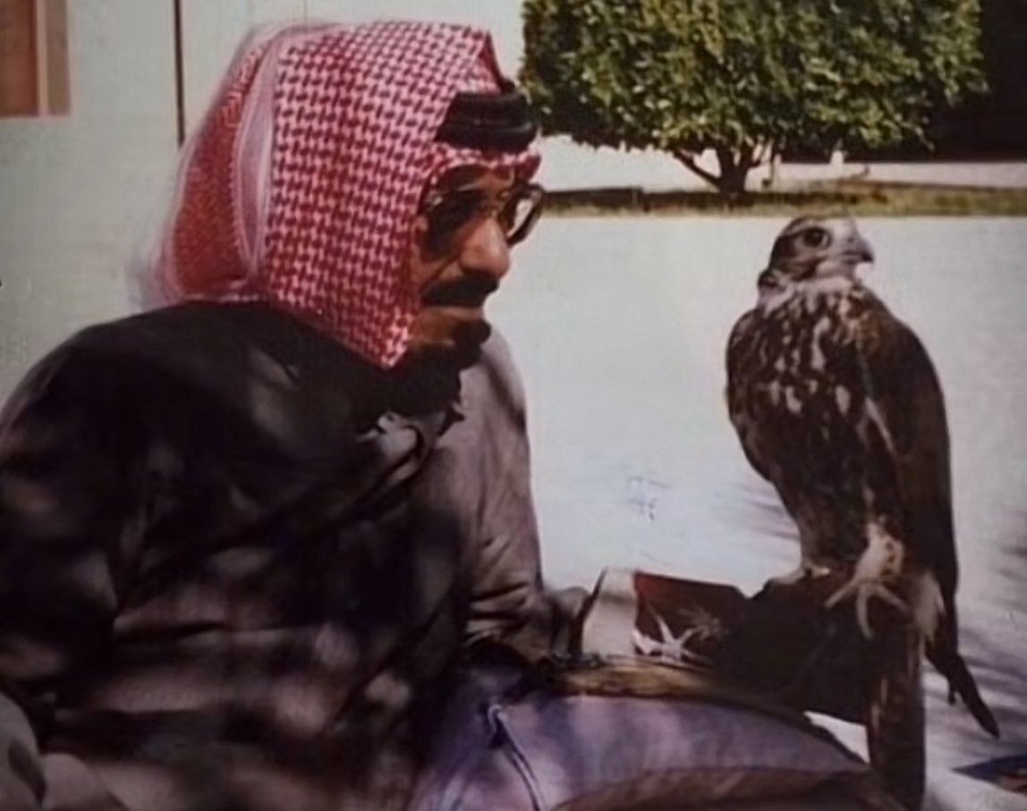غيهبان tweet media