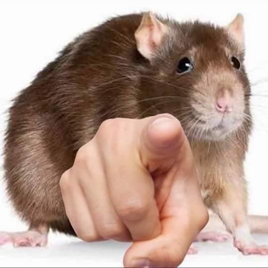 hola197381's tweet photo. @Dreadnightmare1 Banco https://t.co/1ORwqBukcq