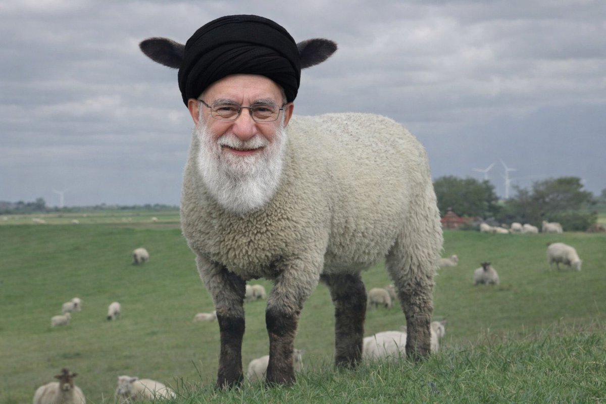 hamudfarha's tweet photo. https://t.co/C7oUYUV4wV