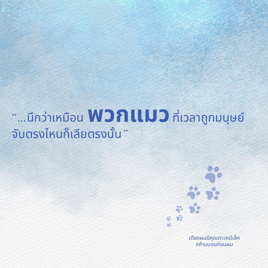 3121TOTO's tweet photo. ศิรัณเรียกคู่ชีวิตว่าเมี้ยวๆแต่ปรภพเรียกว่าพวกแมว https://t.co/gK5CcLiuG1