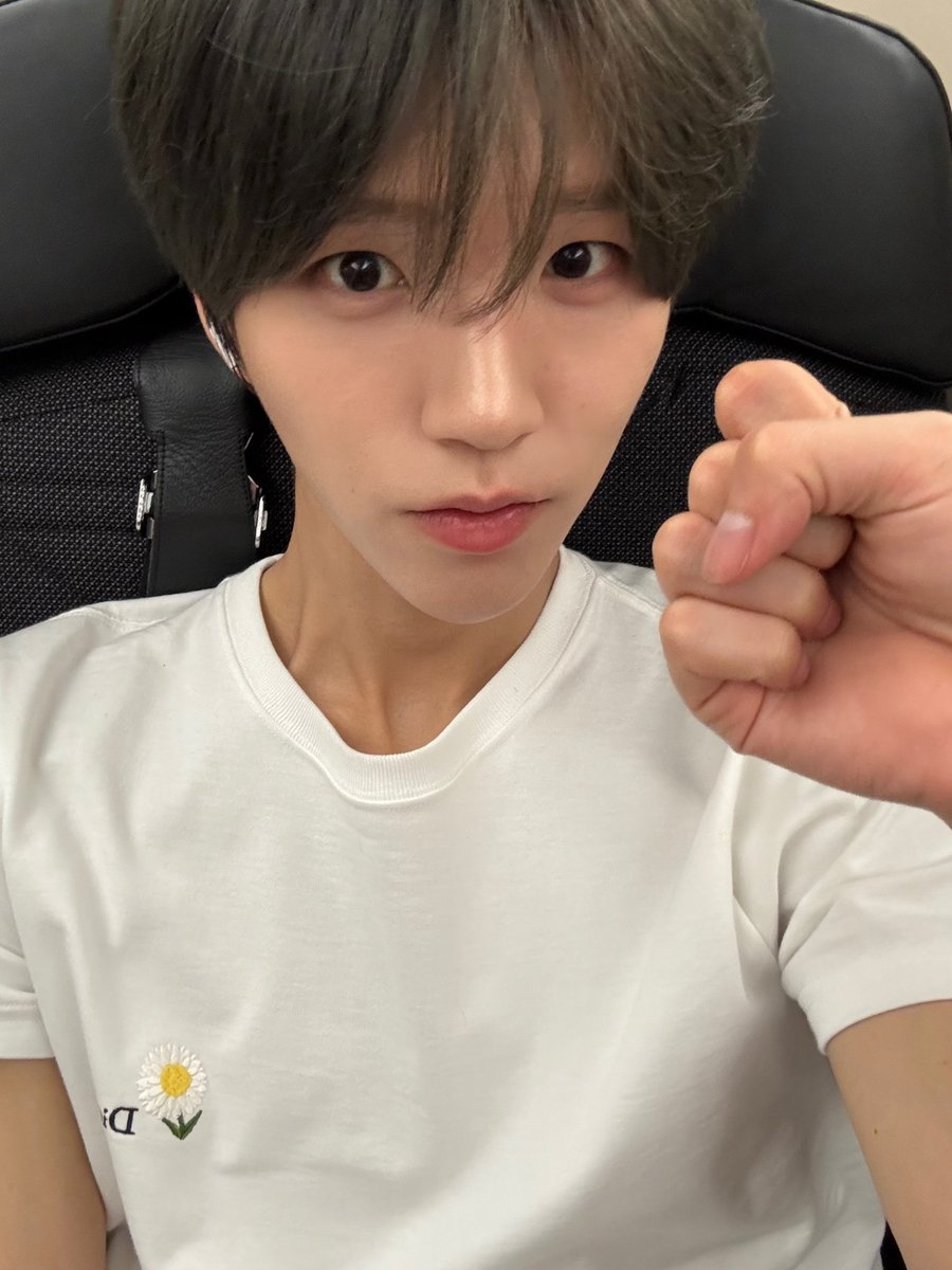 댕쿨 아카이브 tweet media