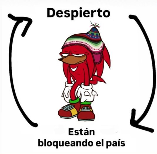 TRALE la secuela🇧🇴🧉 tweet media