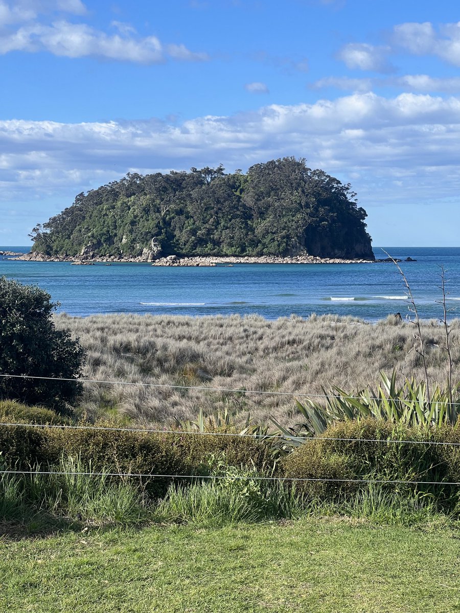 midmaxxing's tweet photo. NZ pretty af https://t.co/m8ECgkoKzq