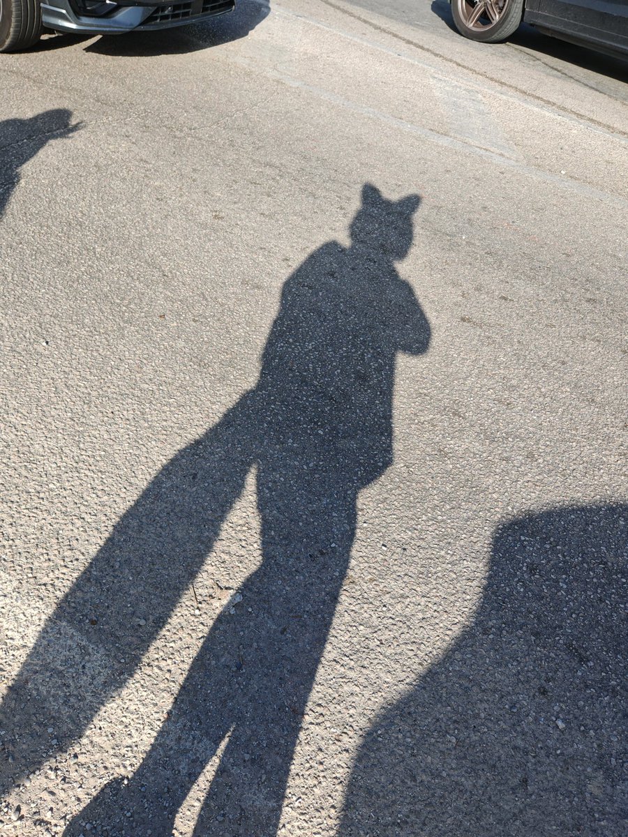 ZarenVT's tweet photo. Michiru is on the street #BNA https://t.co/TSpYSLWOQj