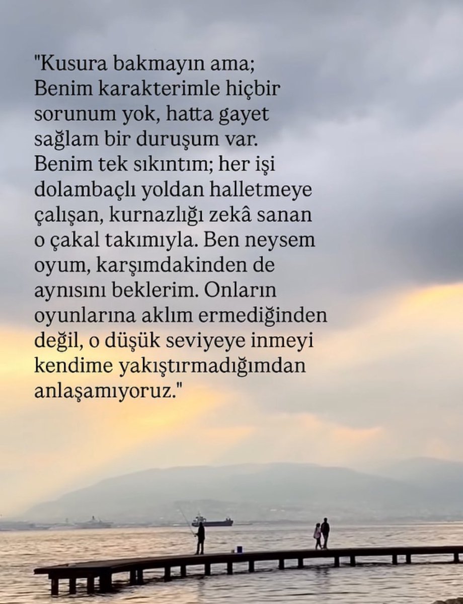 Oktay Zingal tweet media