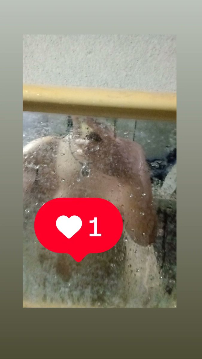 แมวเหมียว tweet media