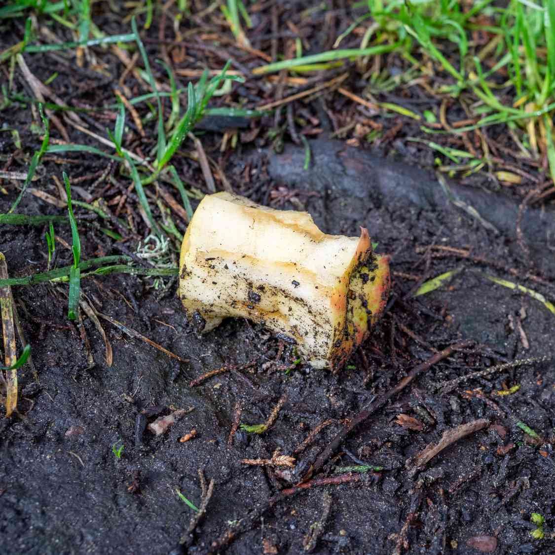 Give A Shit About Nature tweet media