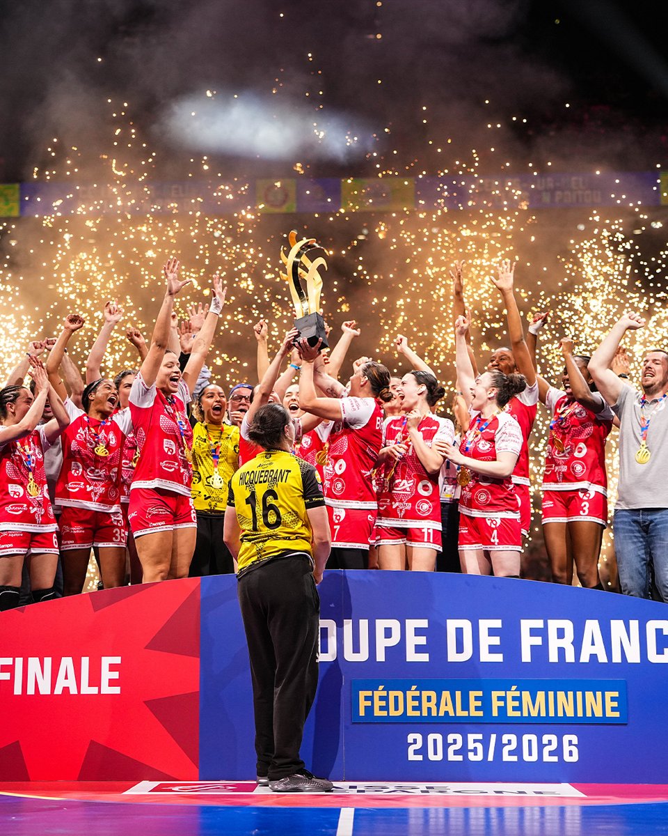FFHandball tweet media