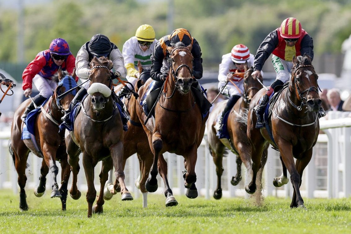 Irish Stallion Farms tweet media