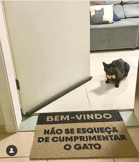 Shitpost só que de verdade tweet media