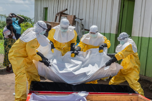 7DailyPulse's tweet photo. #Health updates

Sometimes, #health news can sound far away until it starts #trending again. #Ebola is one of those diseases we should not panic about, but we also should not ignore.

The goal is simple: understand what it is, how it spreads, and why early awareness matters. The more people know, the faster communities can respond and protect one another.

#Ebola #EbolaVirus #EbolaOutbreak #HealthUpdate #PublicHealth #WHO #DRC #Uganda #AfricaCDC #7DailyPulse
