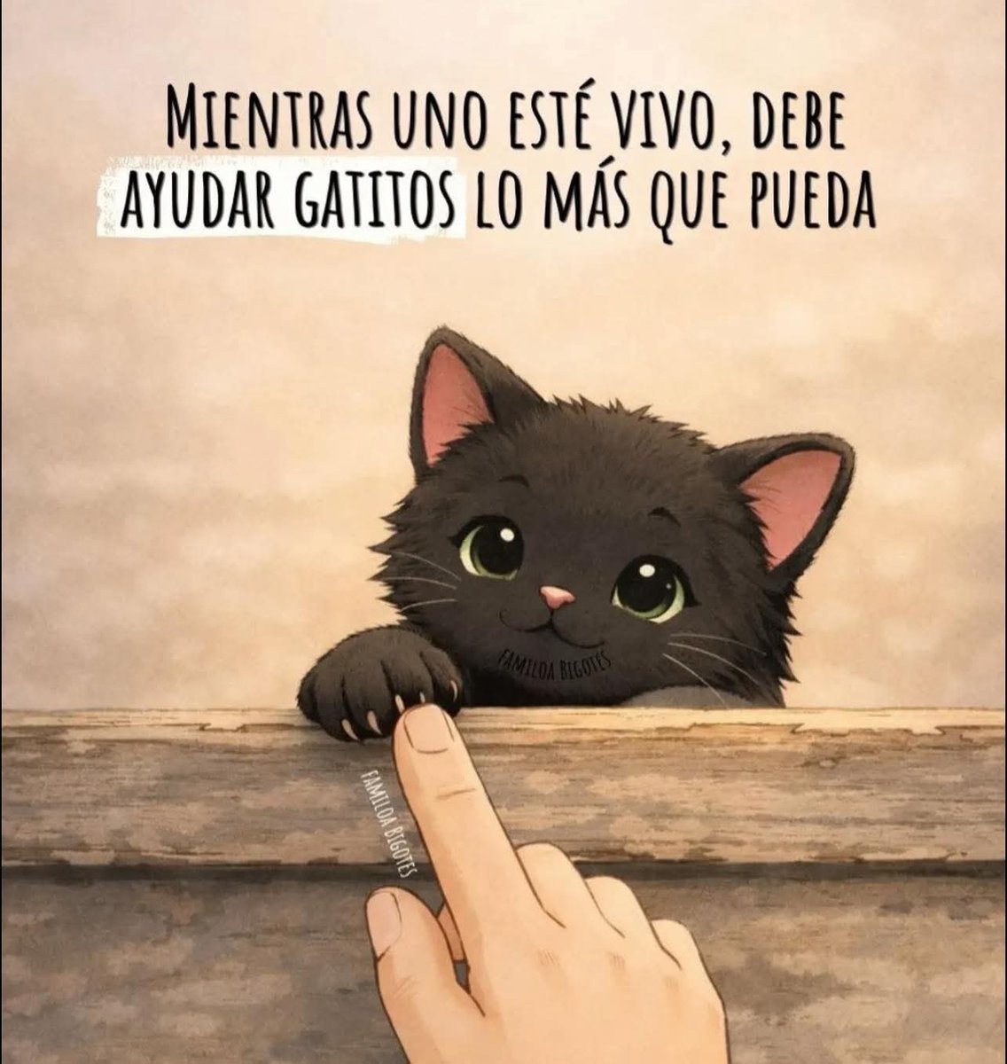 Manu Saenz💛💛 tweet media