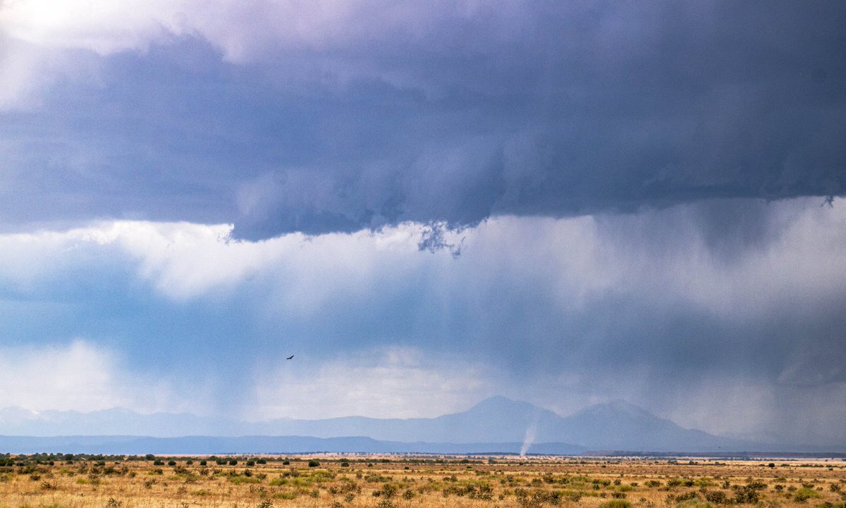 ValpoWeather's tweet photo. Day 4 | Tucumcari, NM → Liberal, KS

We observed convective initiation, cell interactions, and upscale growth into a squall line in SE Colorado into Kansas. Plus, we saw some landspouts! https://t.co/U8GxXM112s