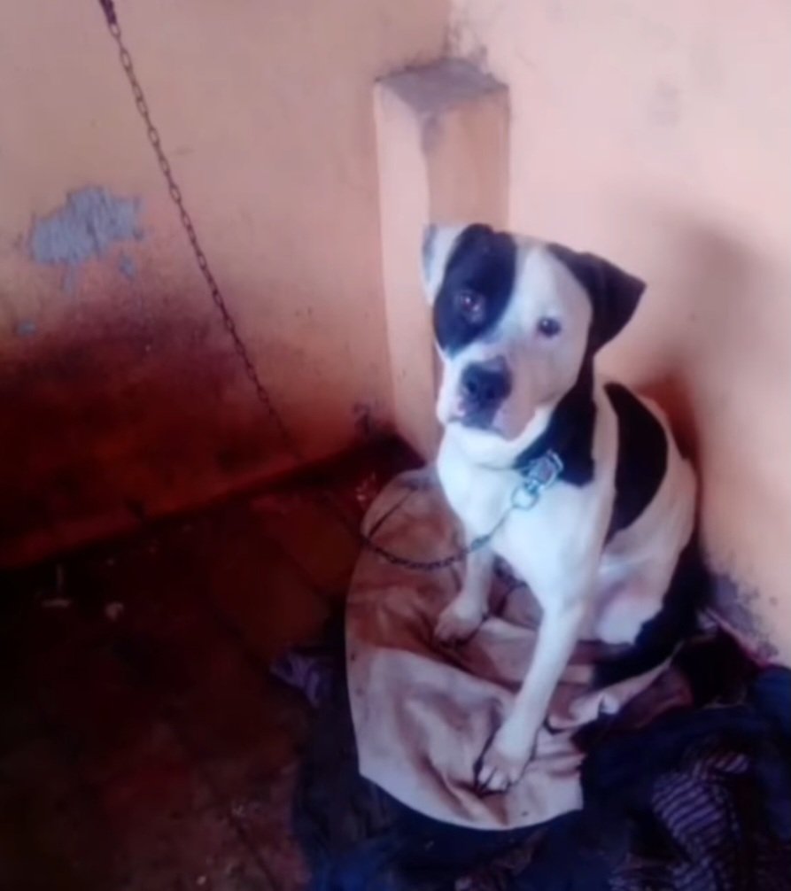 Lola tweet media