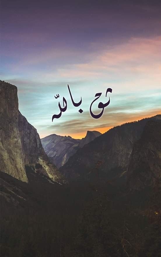 مُطمئِنةَ.! tweet media
