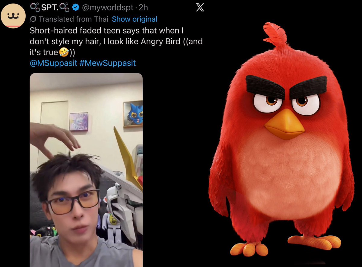 二モイ 𝖭𝗂𝗆𝗈𝗒 🌸 tweet media