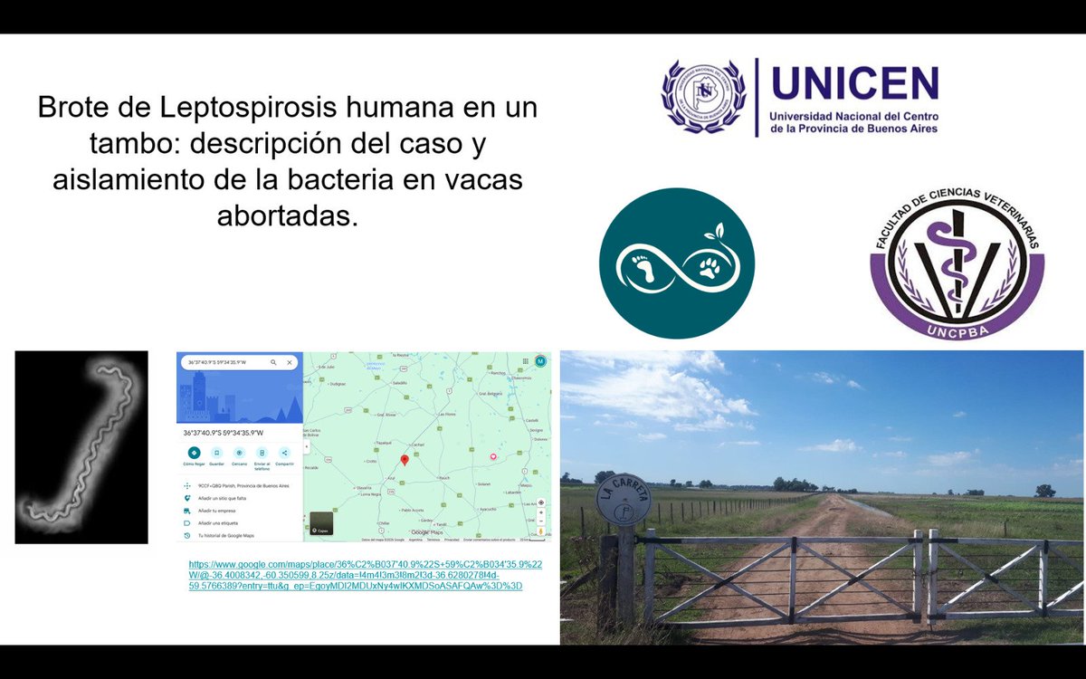 Marcos Saint Martin tweet media
