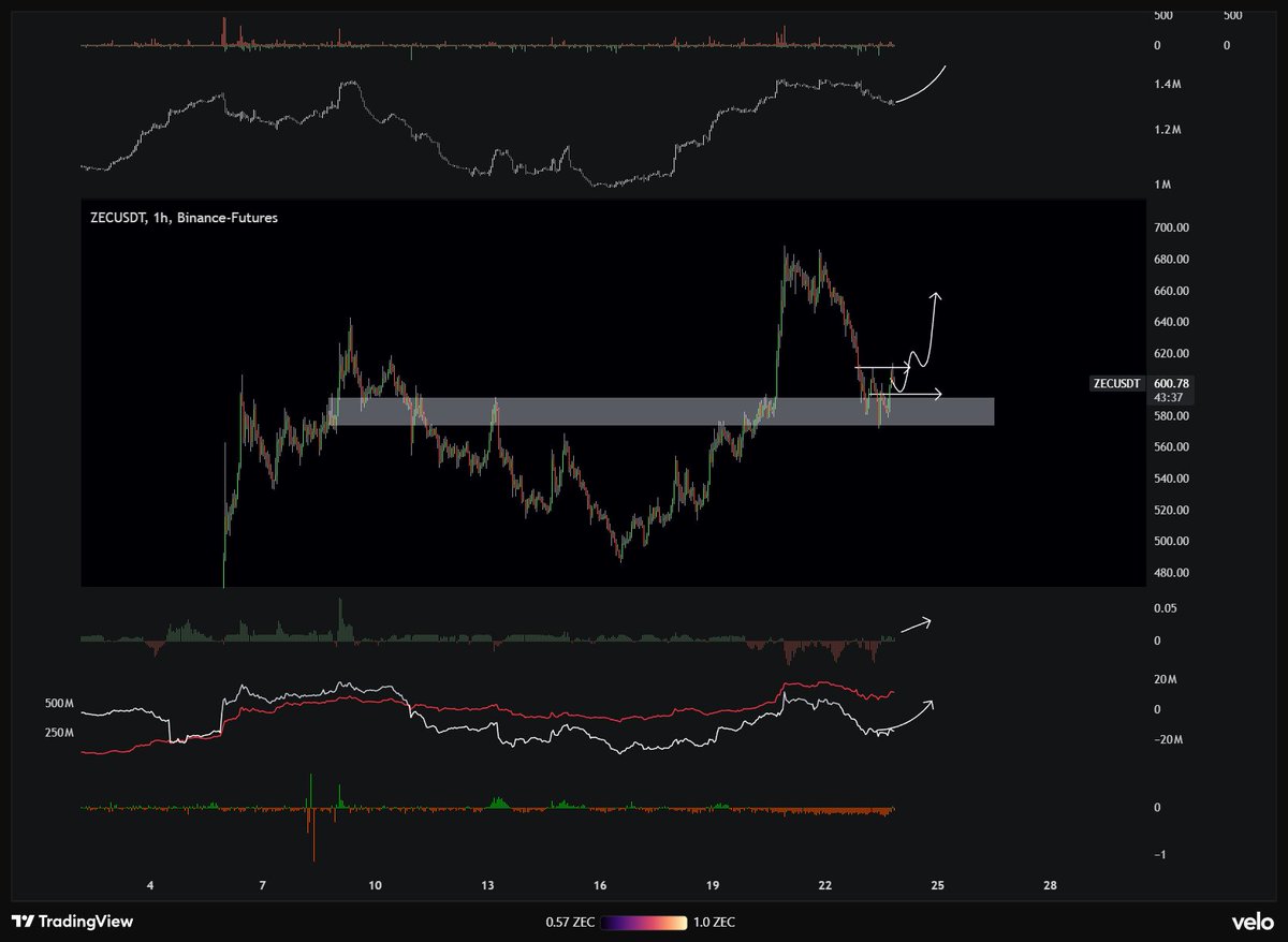 Trader Trador (@TTrador59431) / Posts / X