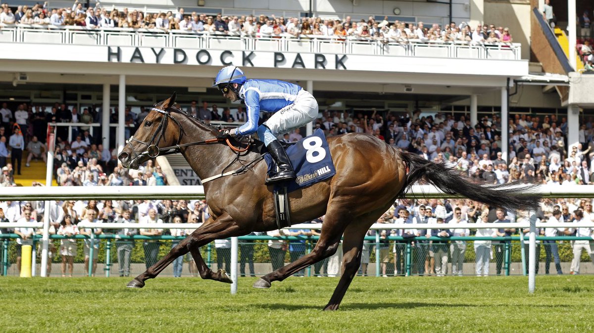TallyHoStud's tweet photo. ‘That was a fantastic performance’

STARMAN’s G1-winning daughter VENETIAN SUN cut into 5/2 favourite for the Commonwealth Cup following her brilliant win in today’s G2 Sandy Lane Stakes #Starman 

Read more https://t.co/h7rzmIYCA6 https://t.co/LccX6Ak1Qo
